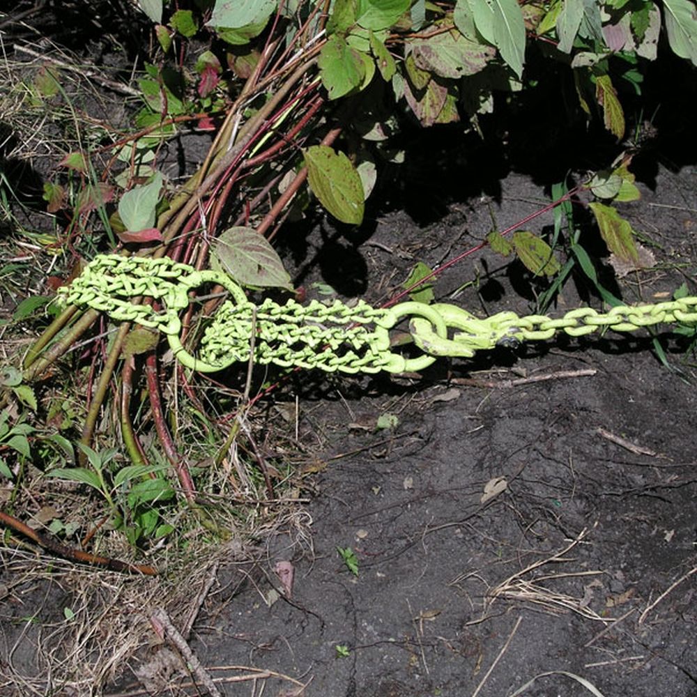 Brush Grubber Shrub & Clump Grubber