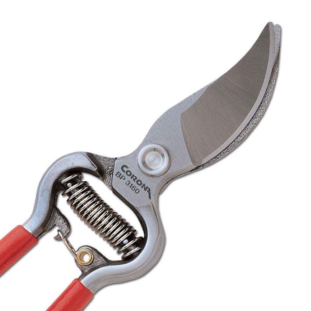 Corona ClassicCUT 3/4" Bypass Pruner BP 3160