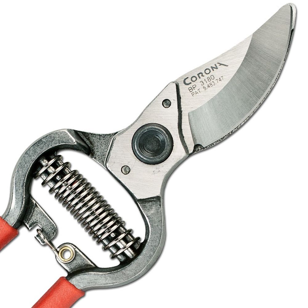Corona ClassicCUT 1" Bypass Pruner BP 3180D