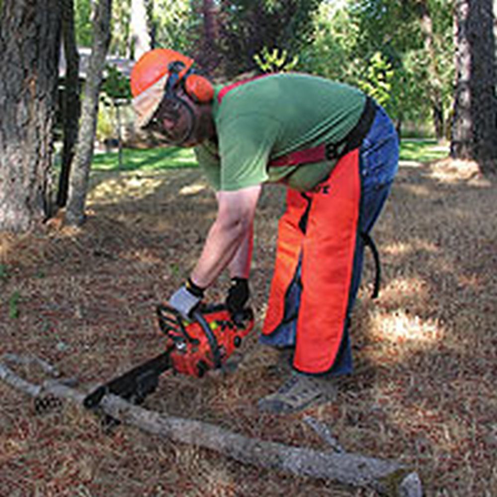 Chainsaw Buddy Chainsaw Firewood Cutting Attachment