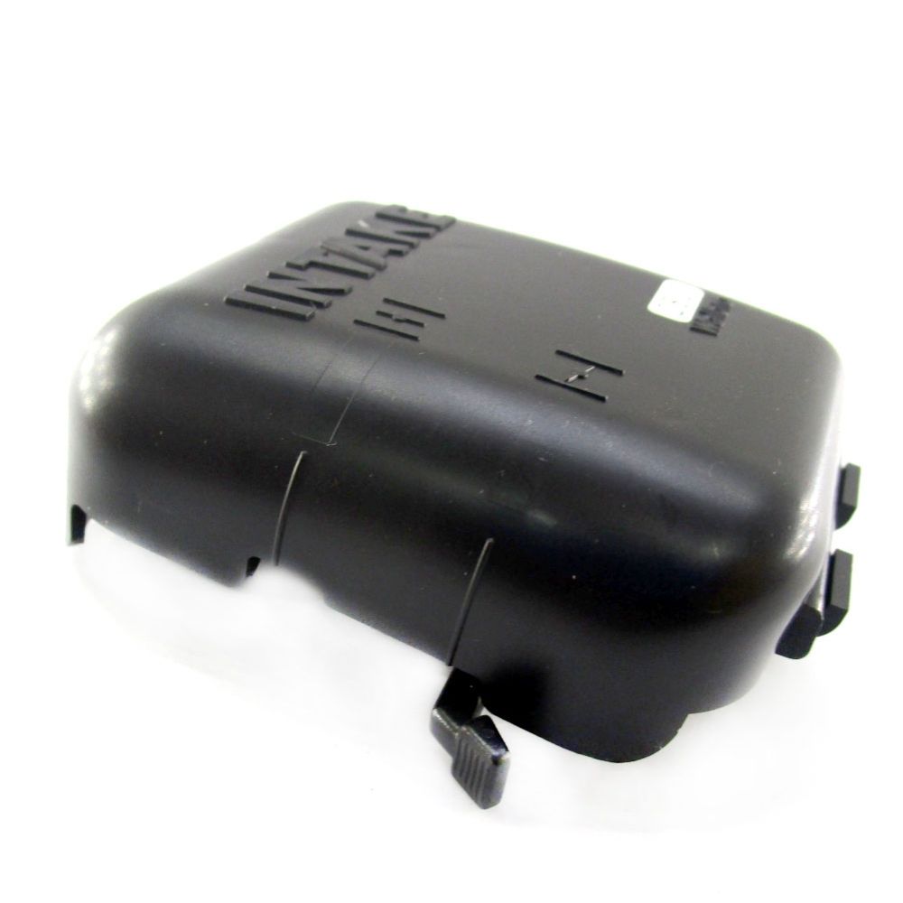 Echo Cleaner Assembly Air - 13030020960