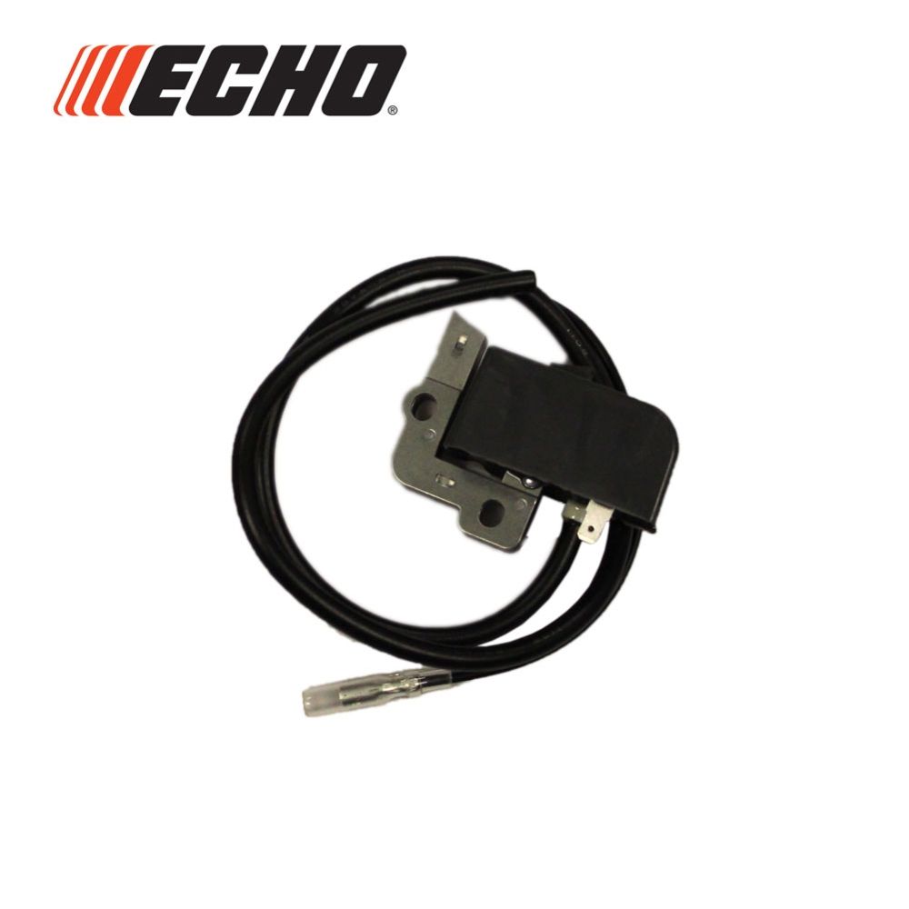 Echo Module, CDI W/Lead