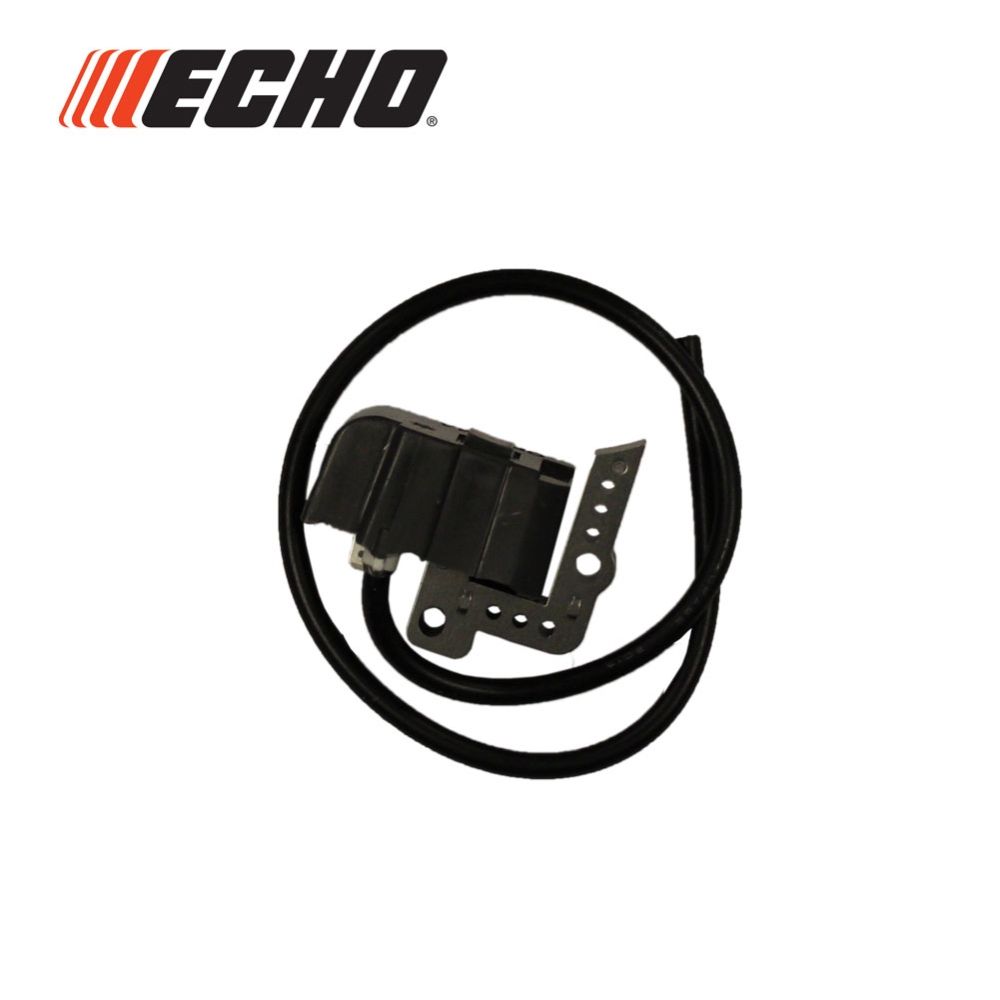 Echo Module, CDI Ignition