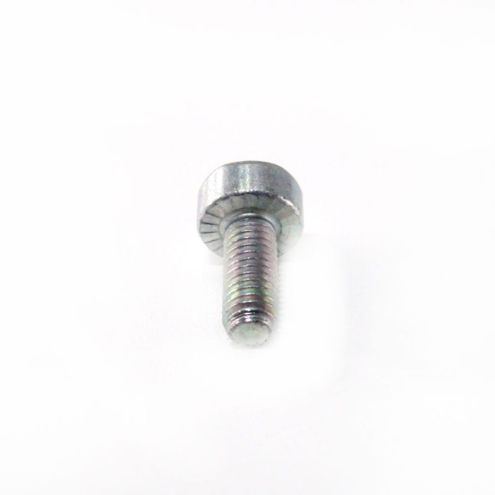 Stihl Torx Head Screw (M5 x 12) 9022 341 0960