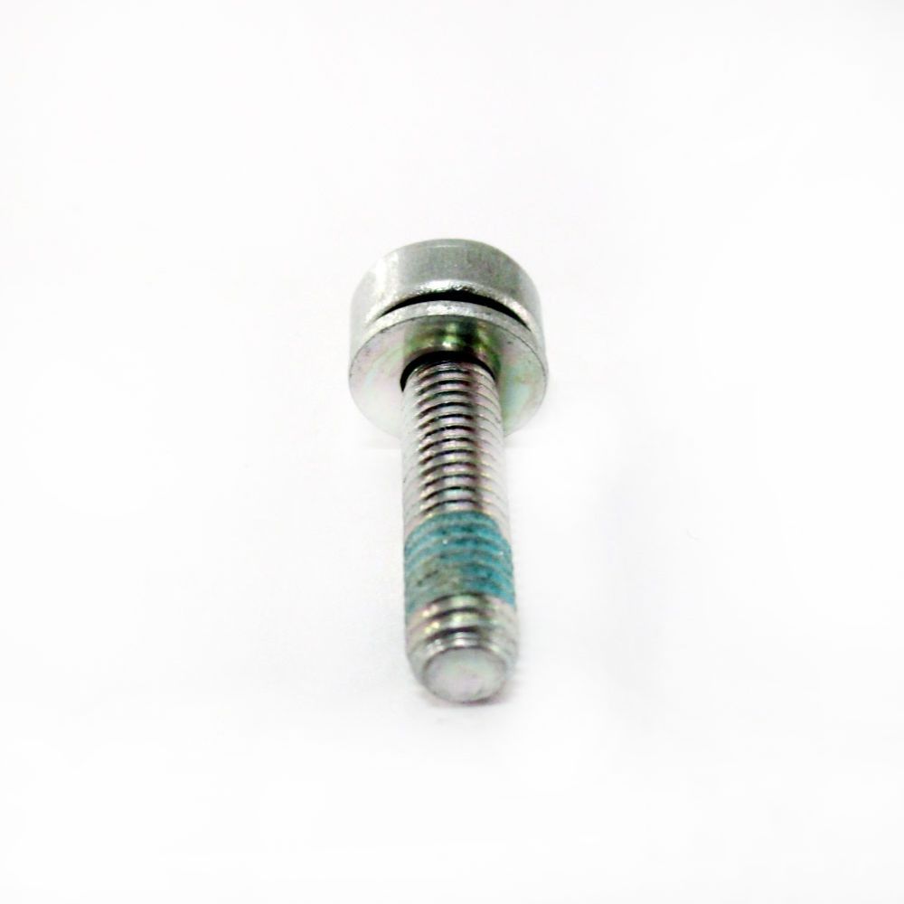 Stihl Torx Head Screw (M5 x 20) 9022 341 1019