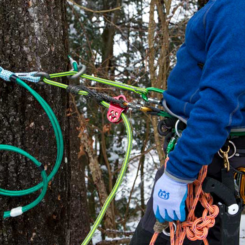 Buckingham TreeSqueeze