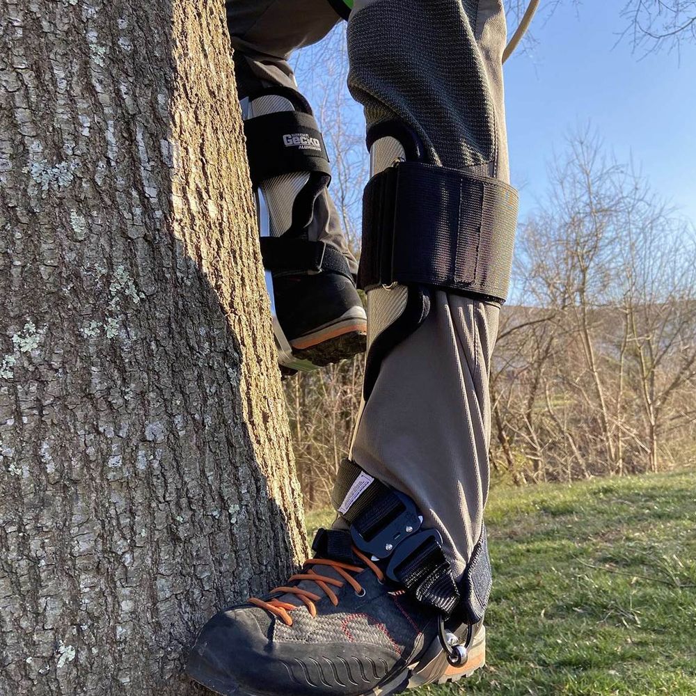 Gecko Aluminum Tree Climbers 2.0 (2-1/2" Tree Gaffs) 41320T