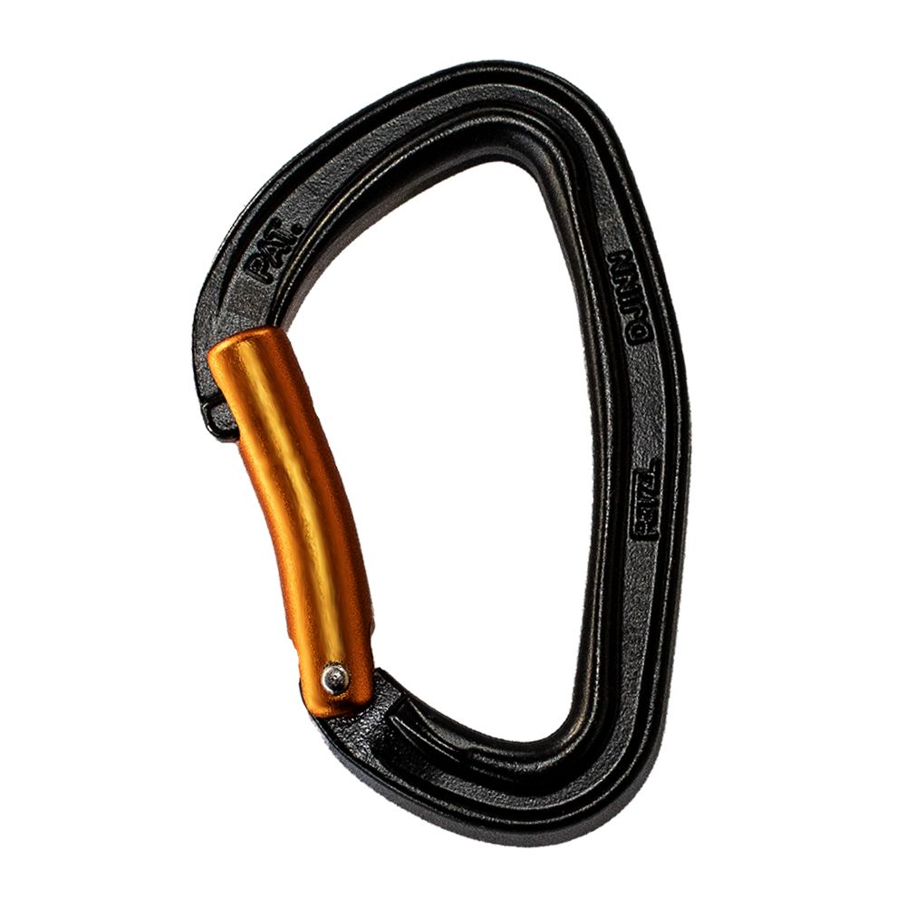 Petzl Djinn Bent Gate Steel Carabiner (Black) M60APS B