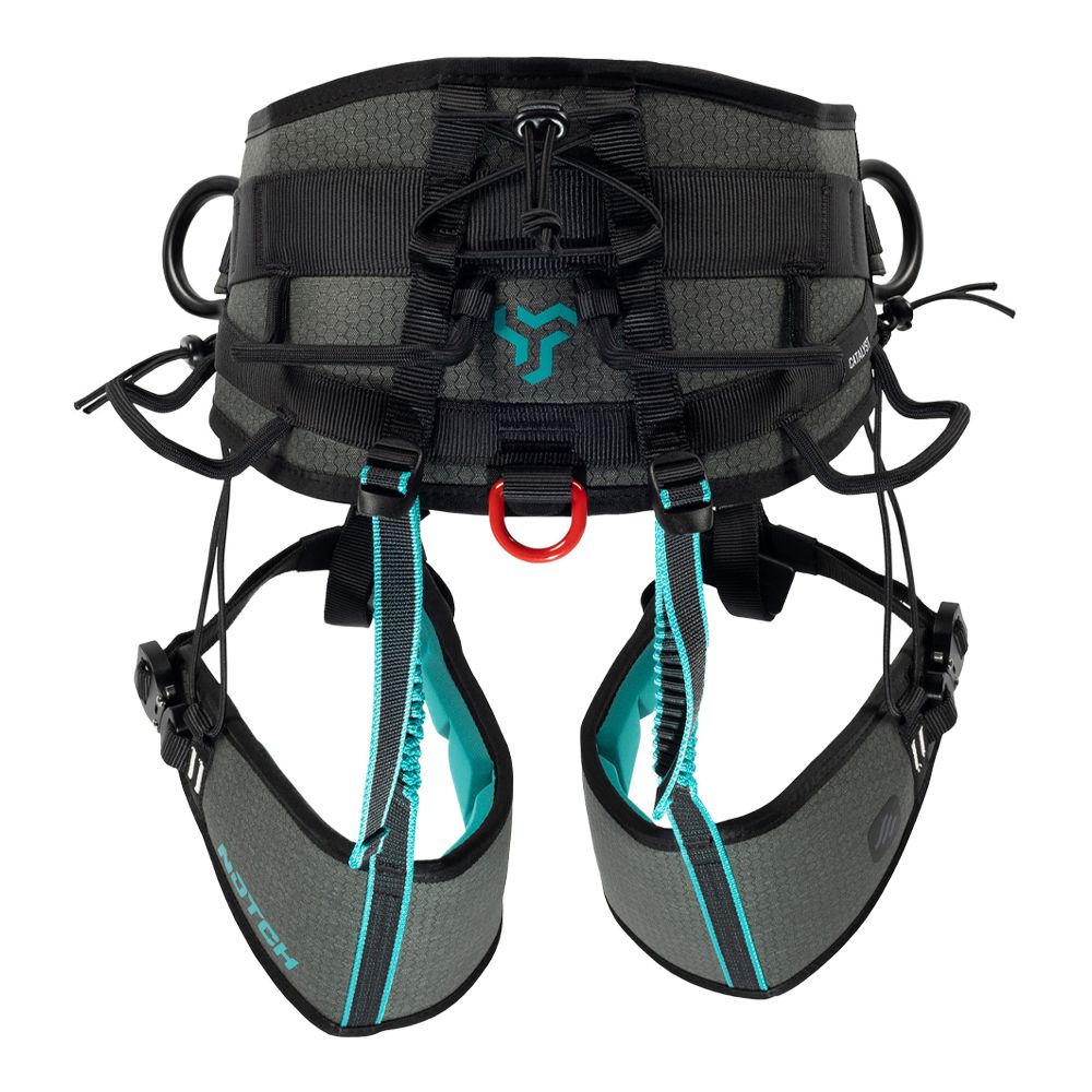 Notch Catalyst Harness