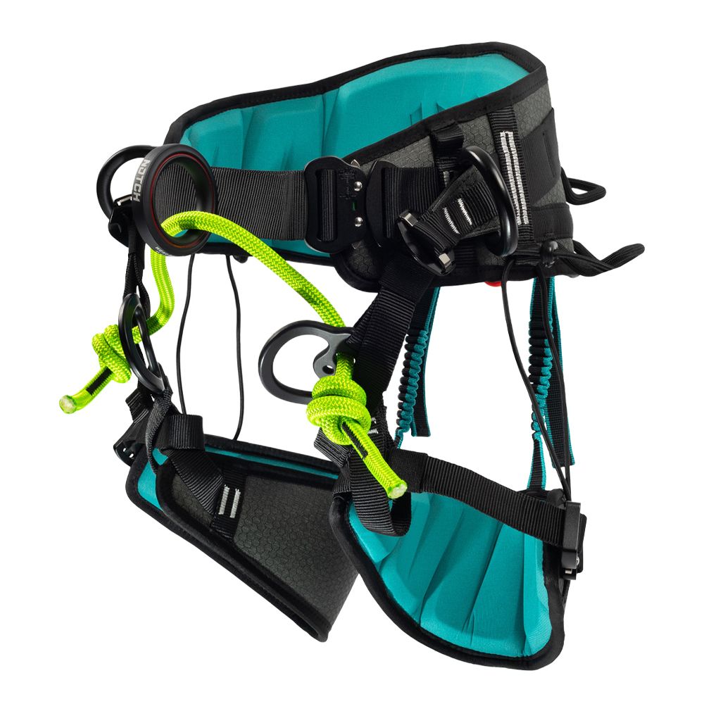 Notch Catalyst Harness