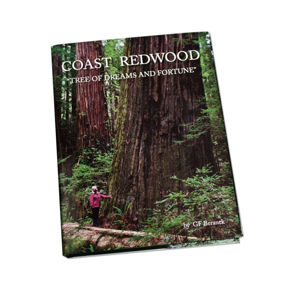 Coast Redwood (Tree of Dreams and Fortune) by Gerald F. Beranek