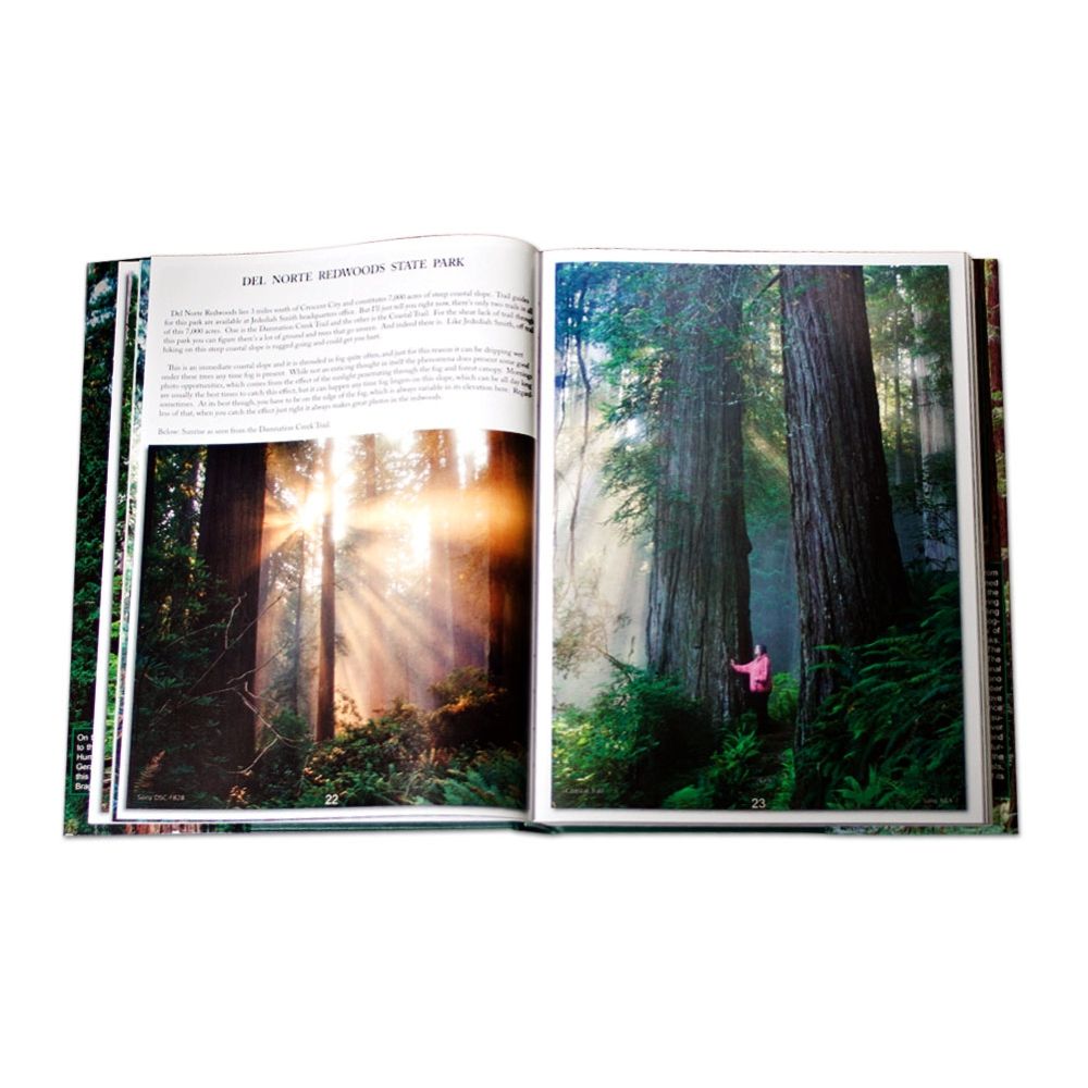 Coast Redwood (Tree of Dreams and Fortune) by Gerald F. Beranek