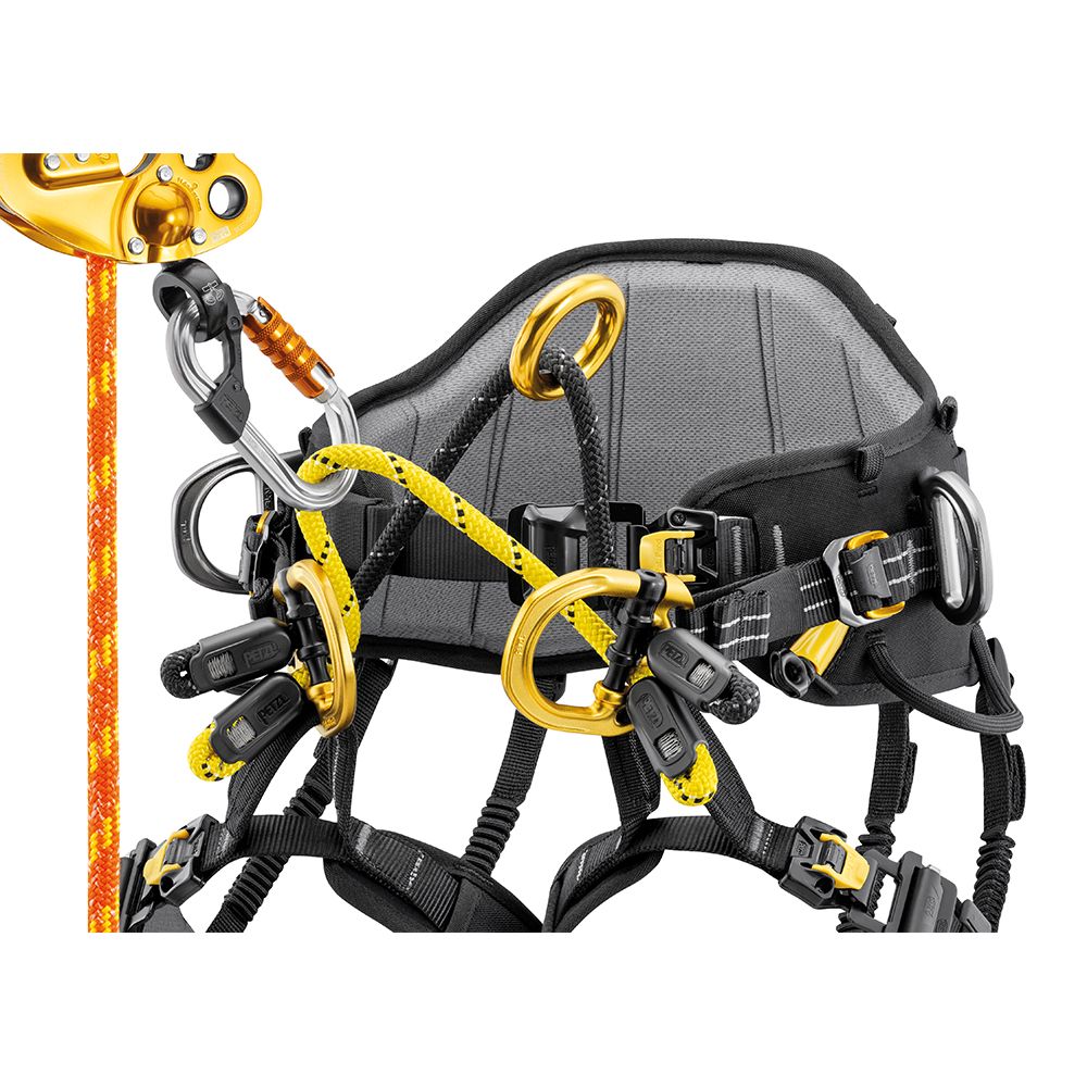 Petzl Sequoia PLUS Tree Climbing Harness (Size 1) C069BB01