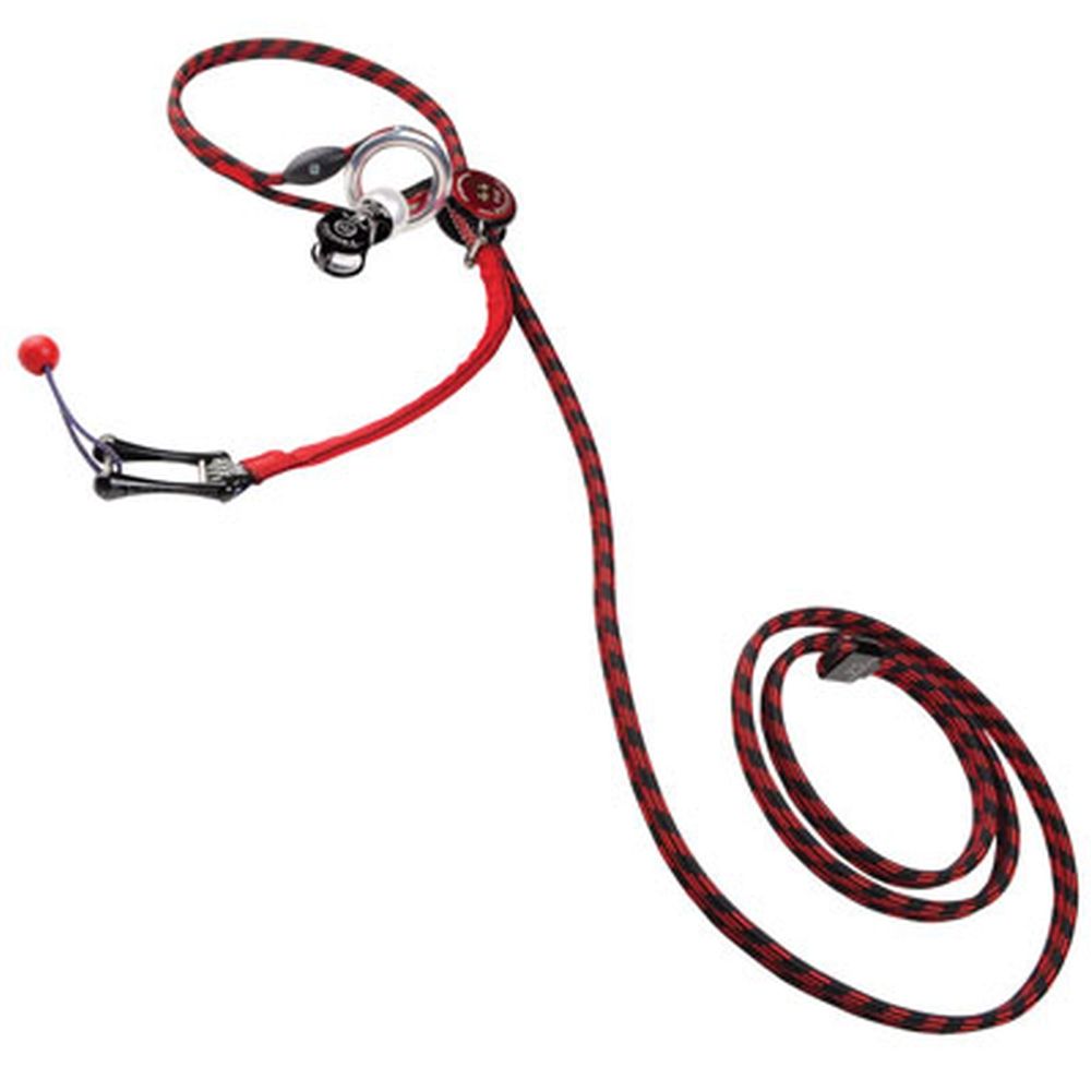 ART Ropeguide 2010 with Cocoon Pulley & 300cm 10' Webbing