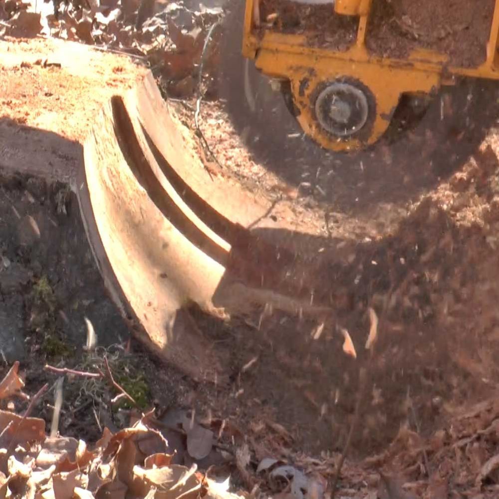 Quadwheel For Stump Slayer Grinder