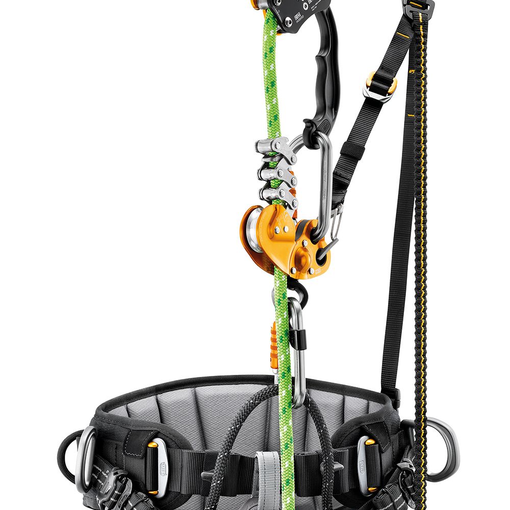 Petzl Sequoia SRT Tree Climbing Harness C069BA