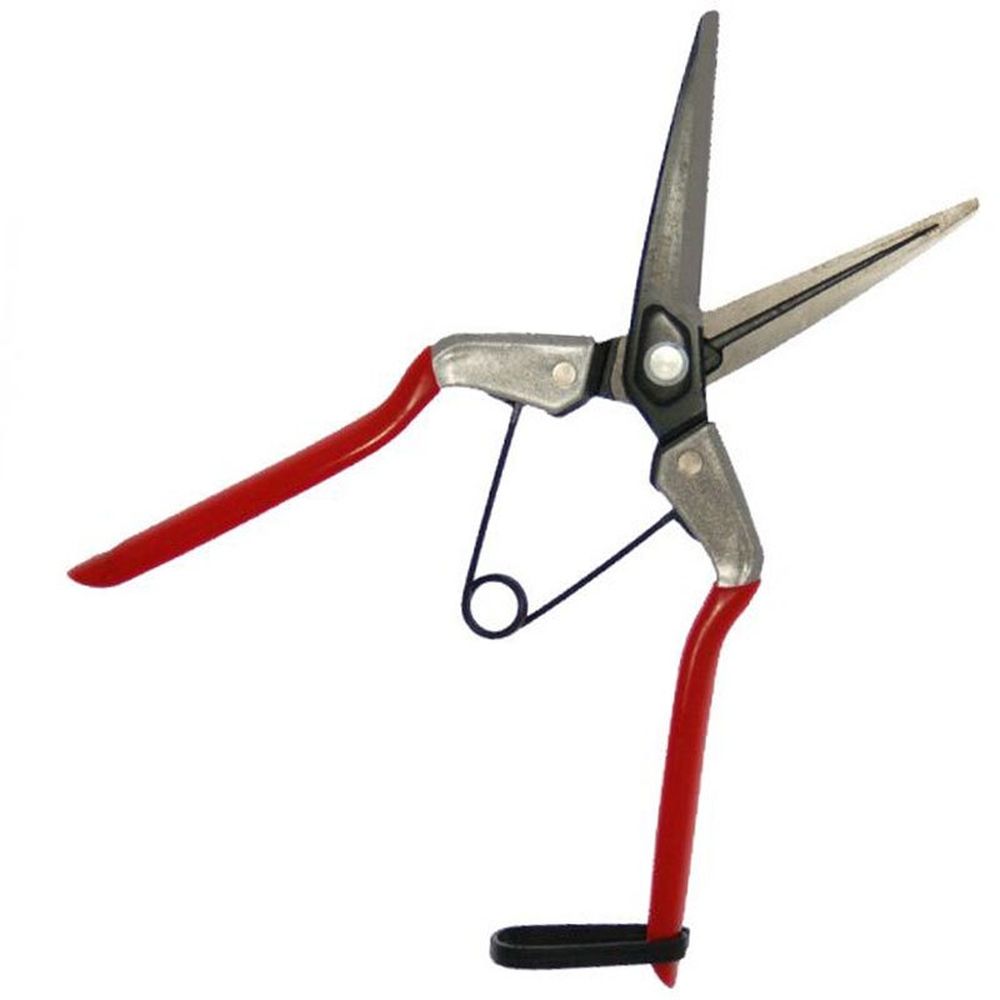 Zenport Fruit Pruner & Thinning Shears w/Wishbone Spring Carbon